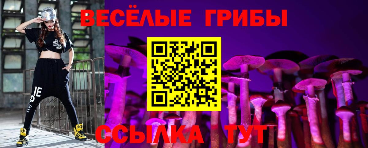Галлюциногенные грибы Magic Shrooms Моршанск